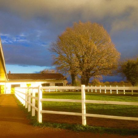 Апартаменты Le Haras Du Favry Palinges Экстерьер фото